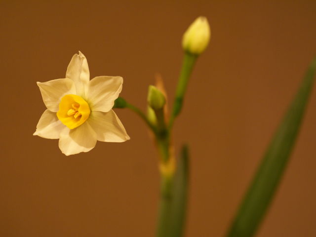 ���E�a�y��