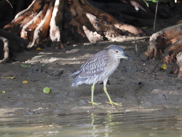 ��݂ɂ͐F�X�Ȏ�ނ̖쒹���I_�u���[�t�B�[���h