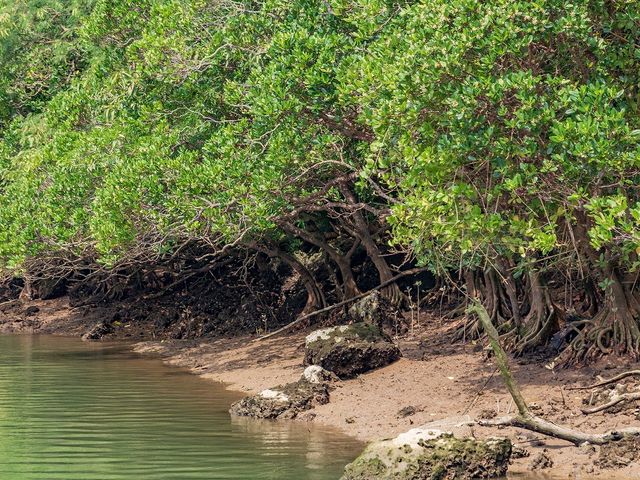 ��ł̓}���O���[�u�Ǝ��ӂɏZ�ޖL�x�Ȑ������������҂��Ă��܂���_�u���[�t�B�[���h