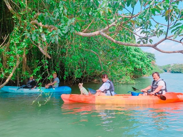 ��������񓯔����A�J���b�N�ESUP�����I�ђ����܂���_�u���[�t�B�[���h