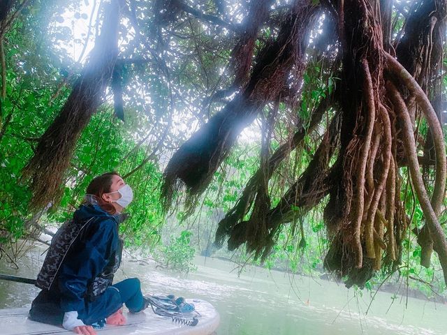 �c�A�[�摜���v���[���g�����Ē����Ă��܂��I_�u���[�t�B�[���h