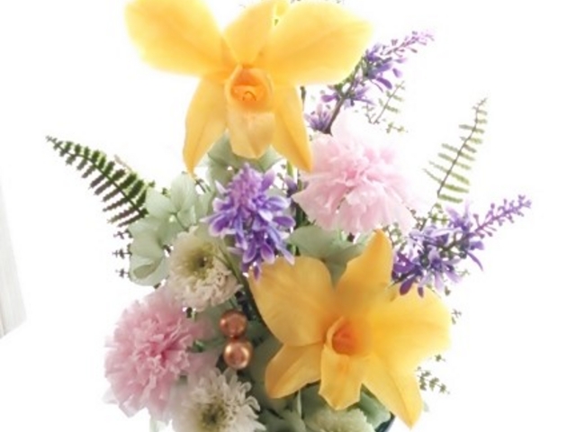 �؂₩�ȃf���h���r�E���̕���_�V�F���[�t���[��