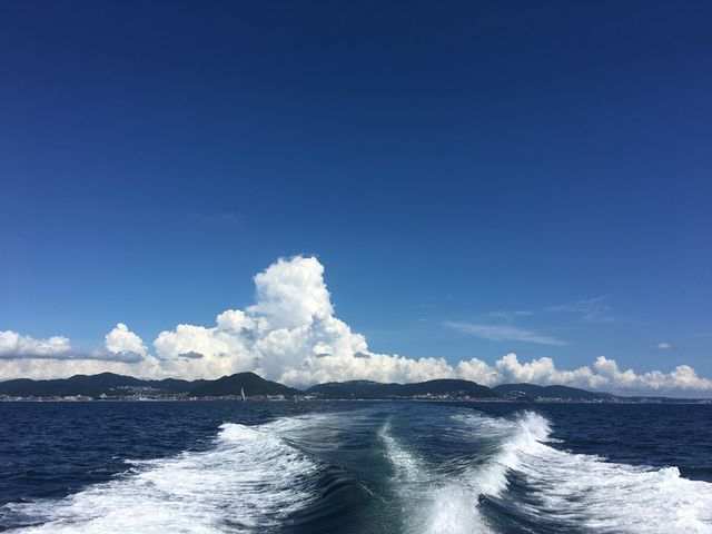 �t�R�}���[�i