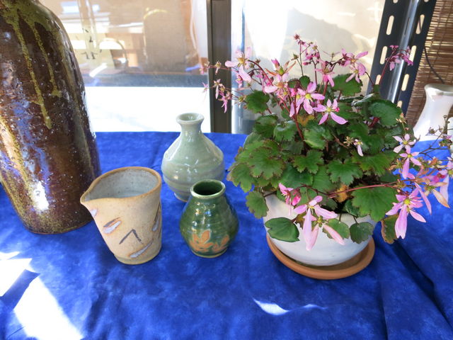 �Ó쎂�q�i�V�[�T�[�j�q�@�䂢���|��y��