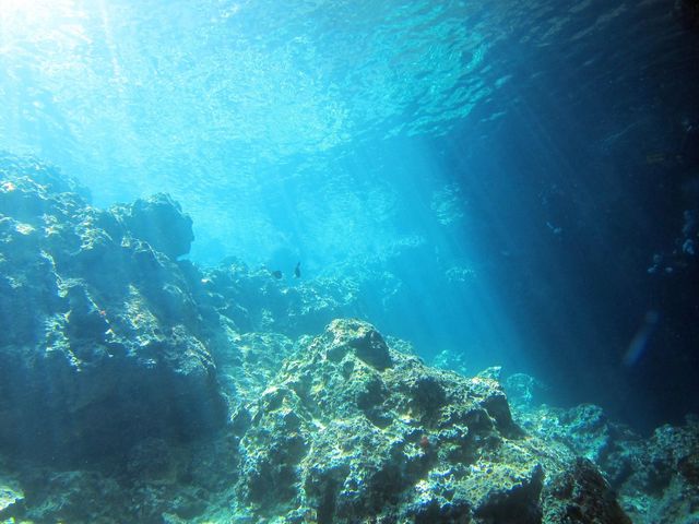 �̓��A�ɍs���܂ł̓��̂���������������i�����邱�Ƃ��ł��܂��B_�}�����N���u Gigi