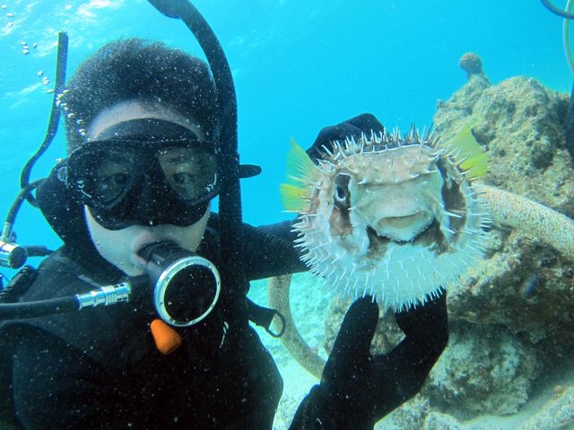 �n���Z���{�����܂����[�I_�}�����N���u Gigi