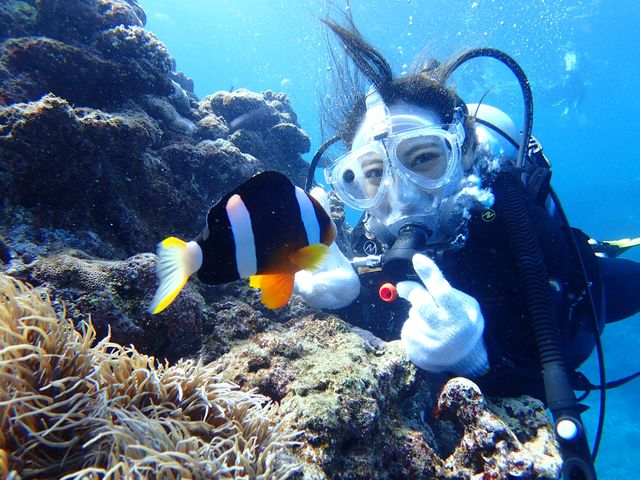 �q������l�ɂ���l�C�̃N�}�m�~�i�j���j�ɉ���Ƃ��ł��܂���_�}�����N���u Gigi