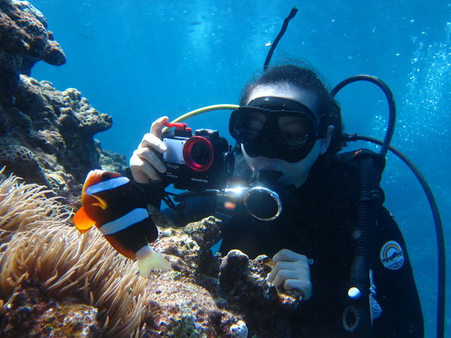 �q������l�ɂ���l�C�̃N�}�m�~�i�j���j�ɉ���Ƃ��ł��܂���_�}�����N���u Gigi