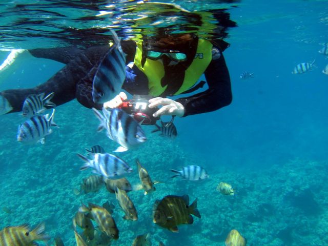 �����Ǝʐ^���B�肽�����ɂ͖h���J�����̃����^���T�[�r�X���������܂�_�}�����N���u Gigi