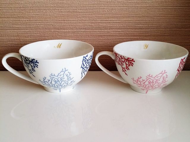 �y�A�X�[�v�J�b�v��_�|�[�Z���[�c�T����My Favorite