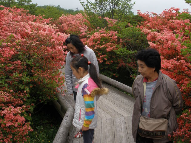 �ߐ{�A�E�g�o�b�N�c�A�[�Y