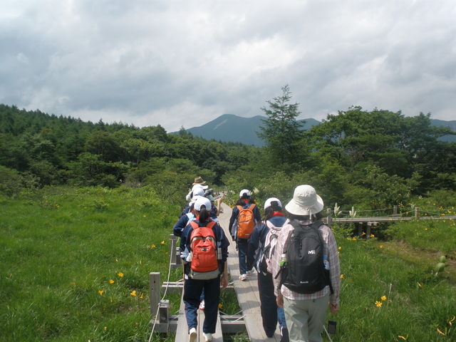 �ߐ{�A�E�g�o�b�N�c�A�[�Y