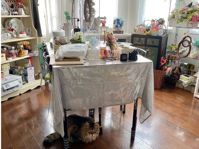 �A�g���G�ł��q�l��҂A�L�X�^�b�t�̂��񂼂�����
�݂Ȃ��񂪉������Ă����̂ŁA�A���������q�ł��i���j�������L�A�����M�[�̕��ɂ͂��Ȃ��悤�ɒv���܂��B_�A�g���G�u���[�~���O