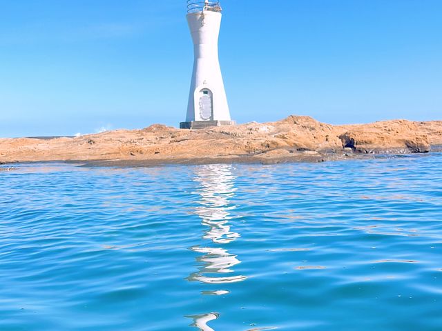 �C�܂ŎU��_�p�[�����B���b�W