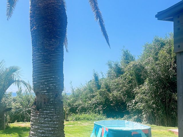 �p�[�����B���b�W