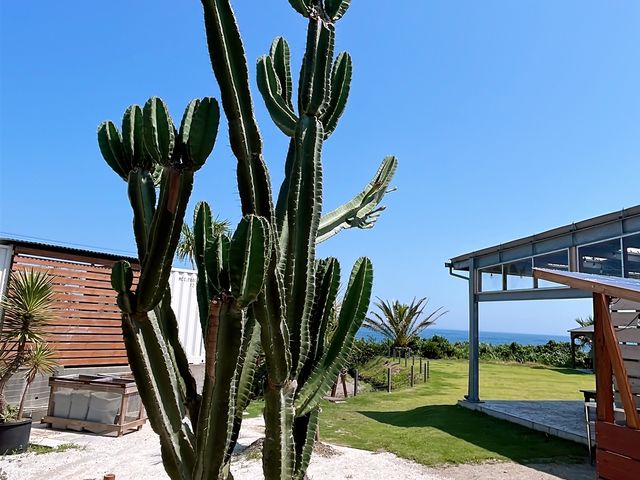 �p�[�����B���b�W