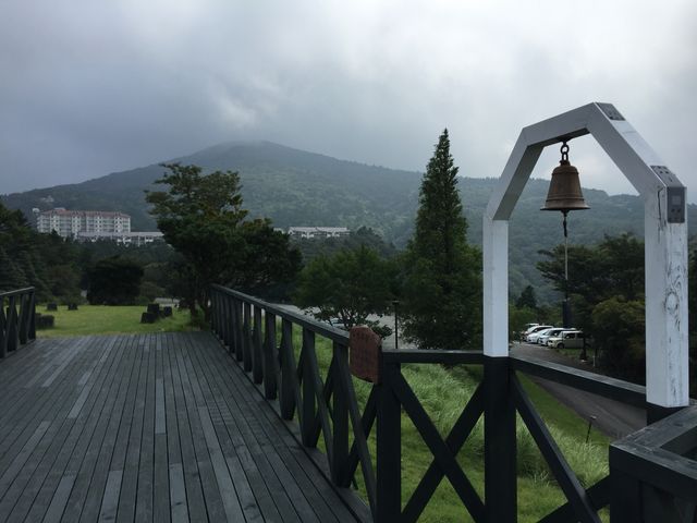 �L�X�Ƃ����E�b�h�f�b�L�̓V�鍂���̓W�]�䂩�璭�߂����}�R_�O���[�g�l�C�`���[�c�A�[�Y