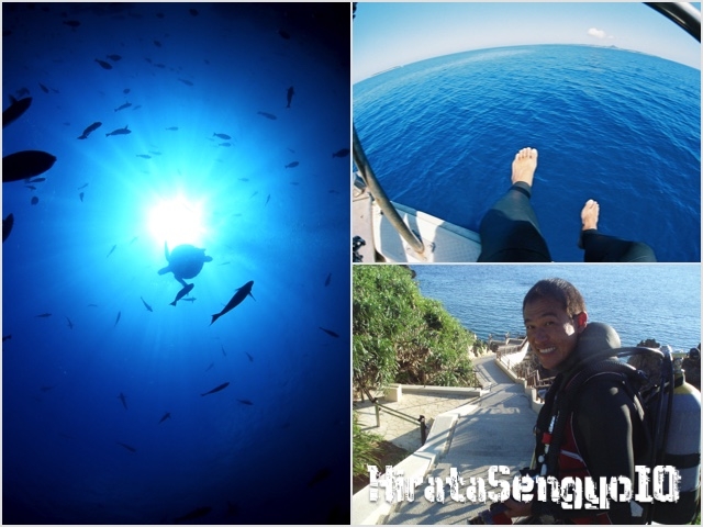 �݂Ȃ����S������X�^�b�t�̓C���g����18�N�ȏ�̃x�e�����̂�_����_�C�r���O���c�����X