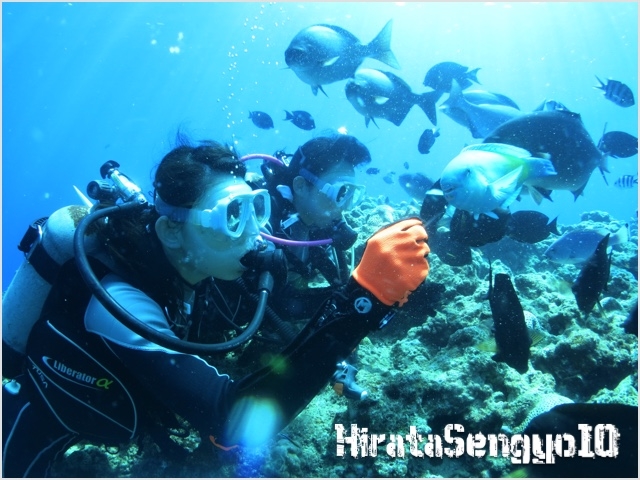 �a�t�������T�[�r�X����_����_�C�r���O���c�����X