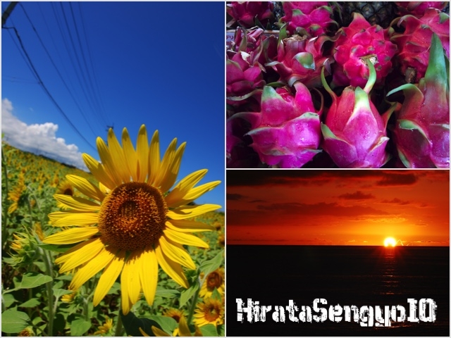 ����֖�����ɗ��ĉ�������_����_�C�r���O���c�����X