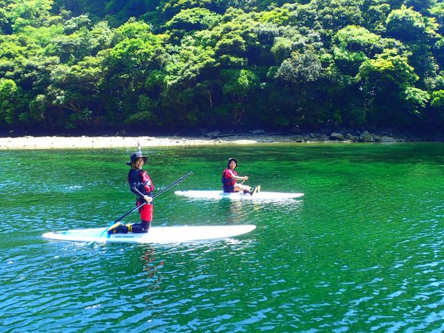 ���v���K�C�h�@��������