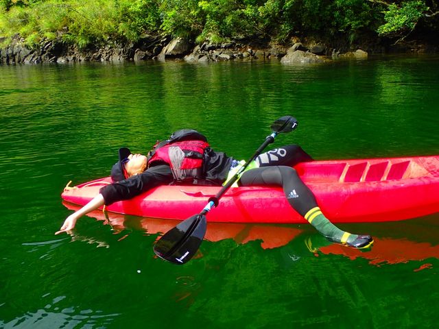 ���v���K�C�h�@��������