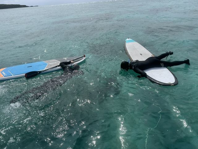 �T�b�vde�V���m�[�P�����ŋߐl�C�̃R�[�X�ł��B�T�b�v�ƃV���m�[�P���i�E�~�K���Ɖj���j��y���߂܂��B_�J�Y�{�@�T�[�t�A���hSUP