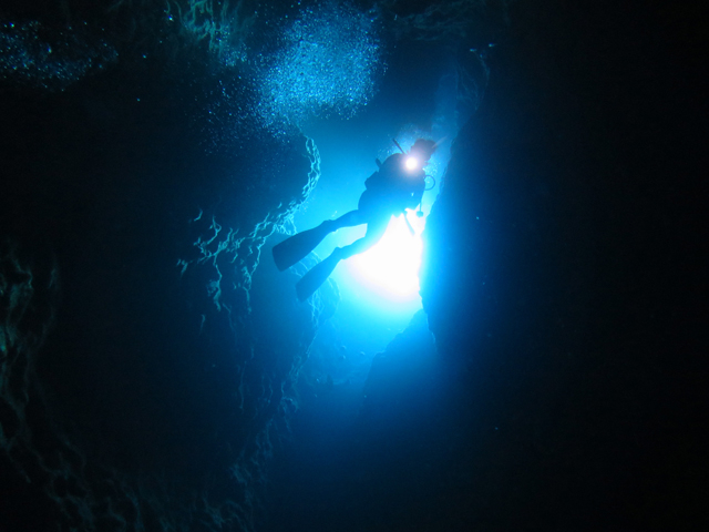 ���[���t�@���_�C�r���O�w�����h�[���z�[���x_�X���[���C�t�}�����T�[�r�X