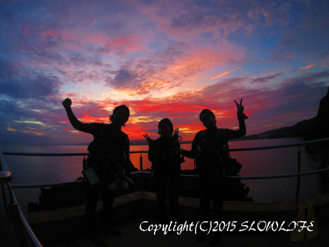 �^�h�c���������o�b�N�ɑ����_�C�r���O_�X���[���C�t�}�����T�[�r�X