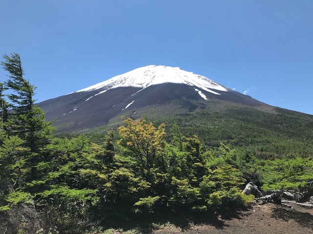 �d�R�[�X�F�x�m�R�������E����E����R�[�X_�y�m�G�R�c�A�[�E�T�[�r�X