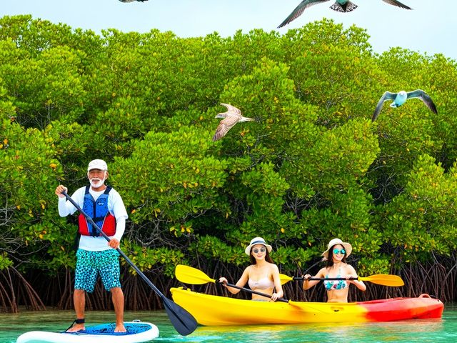 Jk[SUP_Ί_cA[KChI[u[