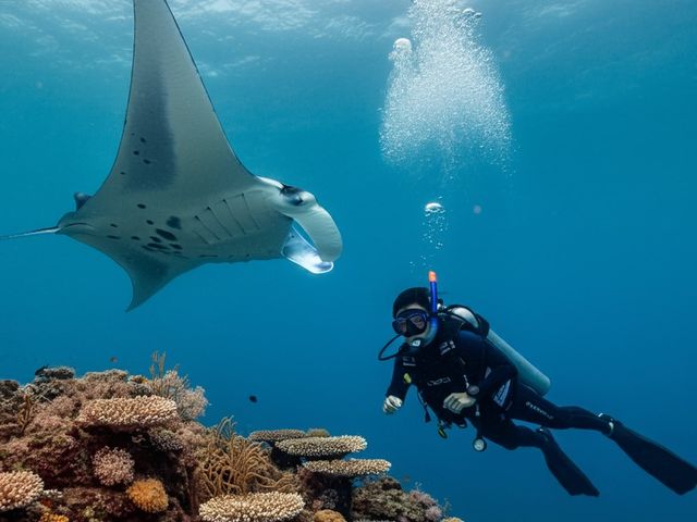 ̊ẙCAΊ__CrOn߂Ă݂܂񂩁HH_Ί_cA[KChI[u[