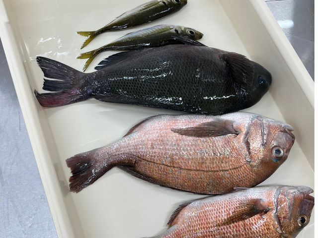 �C��ޖx�@���ނ�̓��C