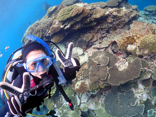 �����哇�̃T���S�͂������I_�_�C�r���O�V���b�v�@�l�o�[�����h