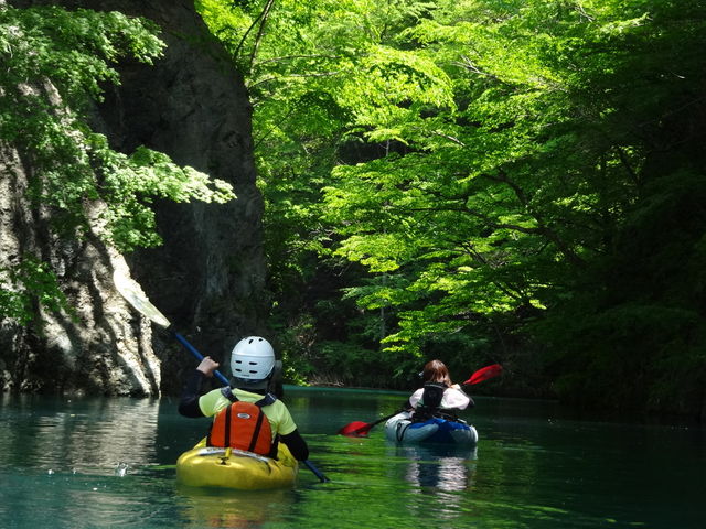 �܂�Ă񐯂̓��@���R�̌�