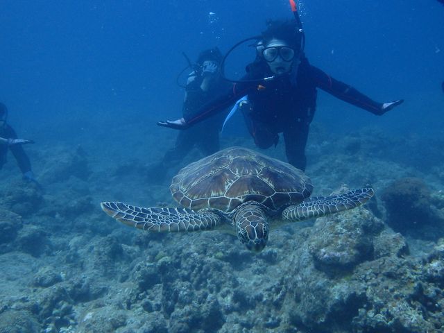 �E�~�K���Ɖj���邩���I�H_�}�b�T�_�C�r���O�N���u