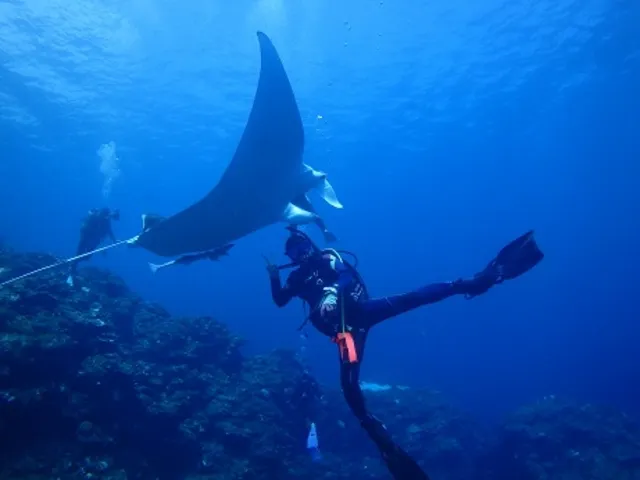 マッサダイビングクラブ MASSA DIVING CLUBの割引プラン