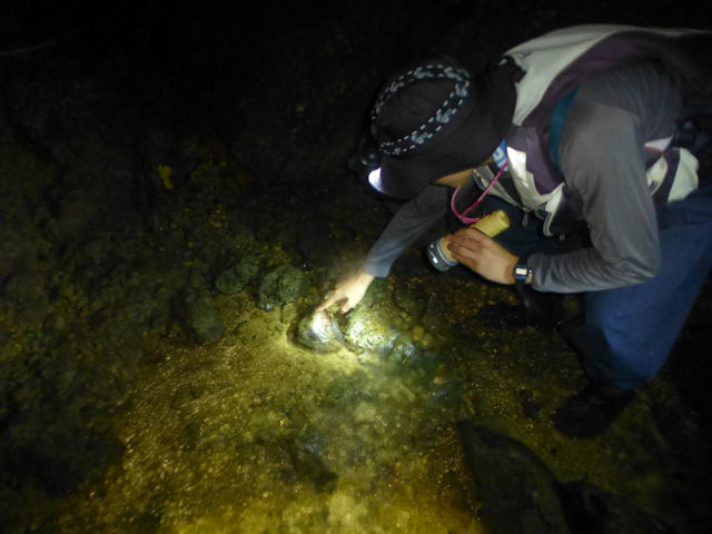 ��̗N�����A���C�g���Ƃ炷�ƐF�X�Ȑ������̂�����������܂��B_�Ȃ�����C�ӂ̎��R�w�Z