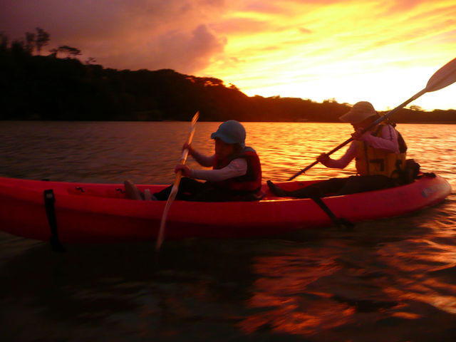 �[�Ă����o�b�N�ɃJ���b�N�������܂����B_�Ȃ�����C�ӂ̎��R�w�Z