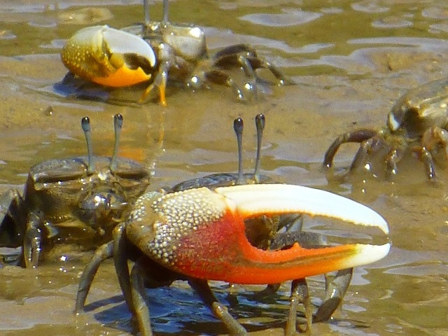 ���������D���ȕ��ɒ��������߂ł��B_�Ȃ�����C�ӂ̎��R�w�Z