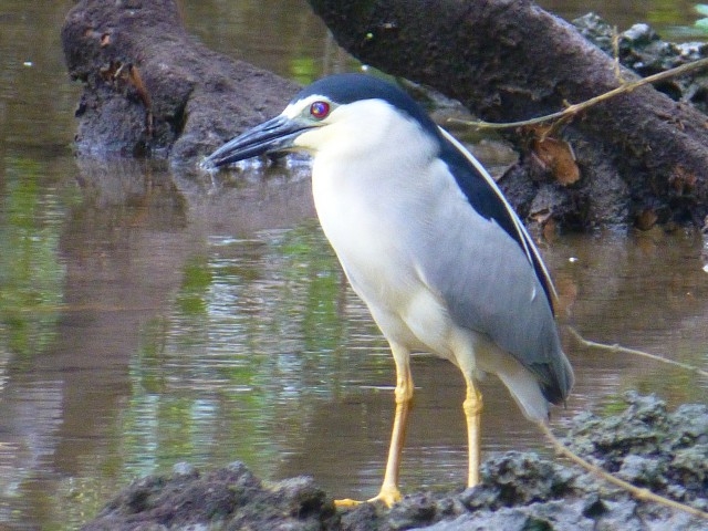 �Ƃ��ǂ����낢��Ȓ�����������Ă��܂���B�y���݂ł��ˁB_�Ȃ�����C�ӂ̎��R�w�Z