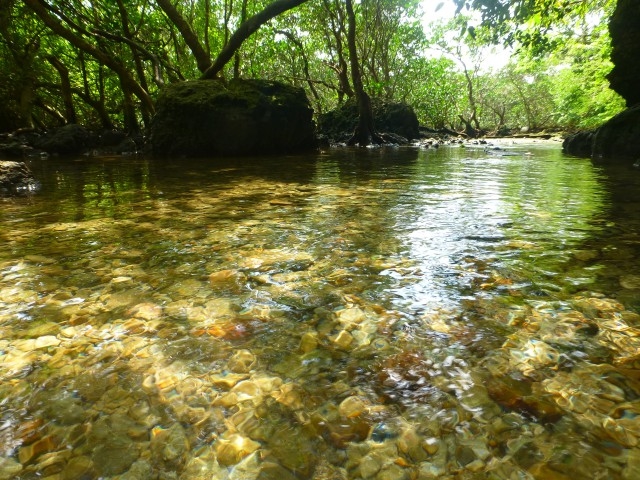 1�N���イ�A�{���ɂ��ꂢ�Ȑ����킢�Ă��܂��B2���Ԕ��R�[�X�ŗV�тɍs���܂��傤�B_�Ȃ�����C�ӂ̎��R�w�Z