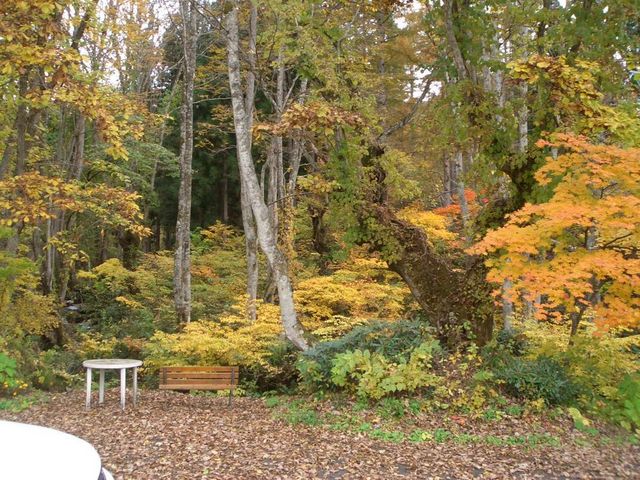 ����ł������X�ї����ł����Ⴂ�܂��I_�V�����[�E���E�l�[�W��