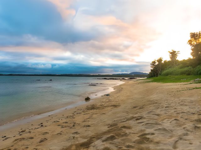 ����̊C�𖞋i�I_���u�}�b�N�X�A���X�E�J���i���]�[�g���B��