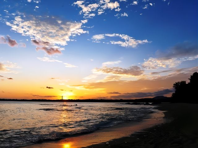 ����̊C�𖞋i�I_���u�}�b�N�X�A���X�E�J���i���]�[�g���B��