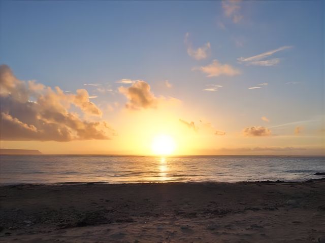 ����̊C�𖞋i�I_���u�}�b�N�X�A���X�E�J���i���]�[�g���B��