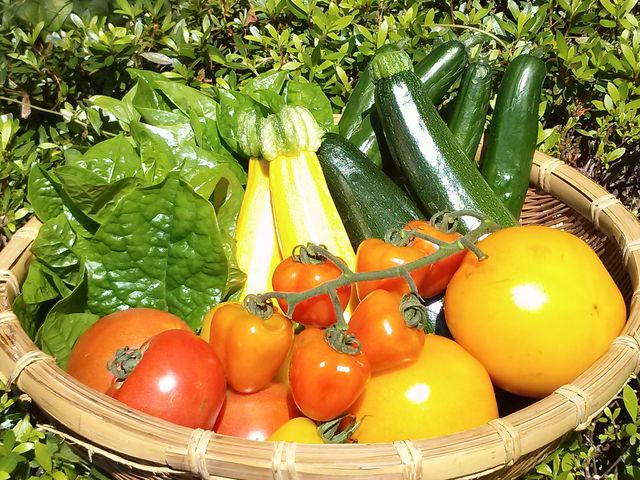 ���ƍ؉����̂肽�Ă�[�ɒ��ɂ��o�����Ă���܂��B
_��ǊΎR