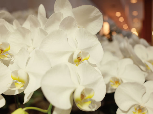 ӒʂiNʂČӒ̉Ԃj_Ӓ