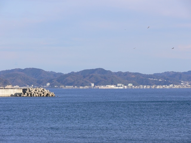 �����ɗt�R�����n���܂��B_�]�̓����[�^�[�{�[�g����