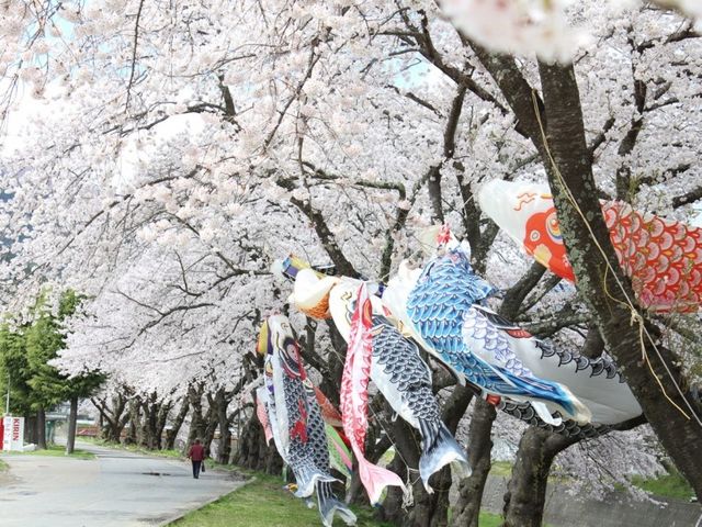 ���ؒ�����쉈���@���Ԃ�30���@���S���͍����؂��y���߂܂��B�T���͂����̂ڂ肪�L��_�l�ׂ̗����h�󗈊�